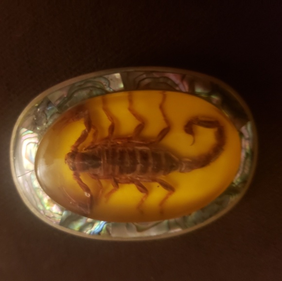 scorpion belt buckle